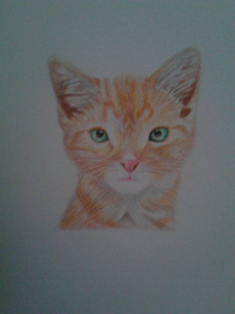 e6071760-ba81-48a8-aa08-83fc5921cd9c